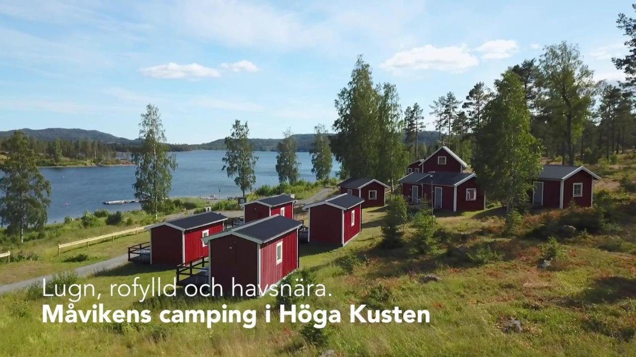 Mavikens